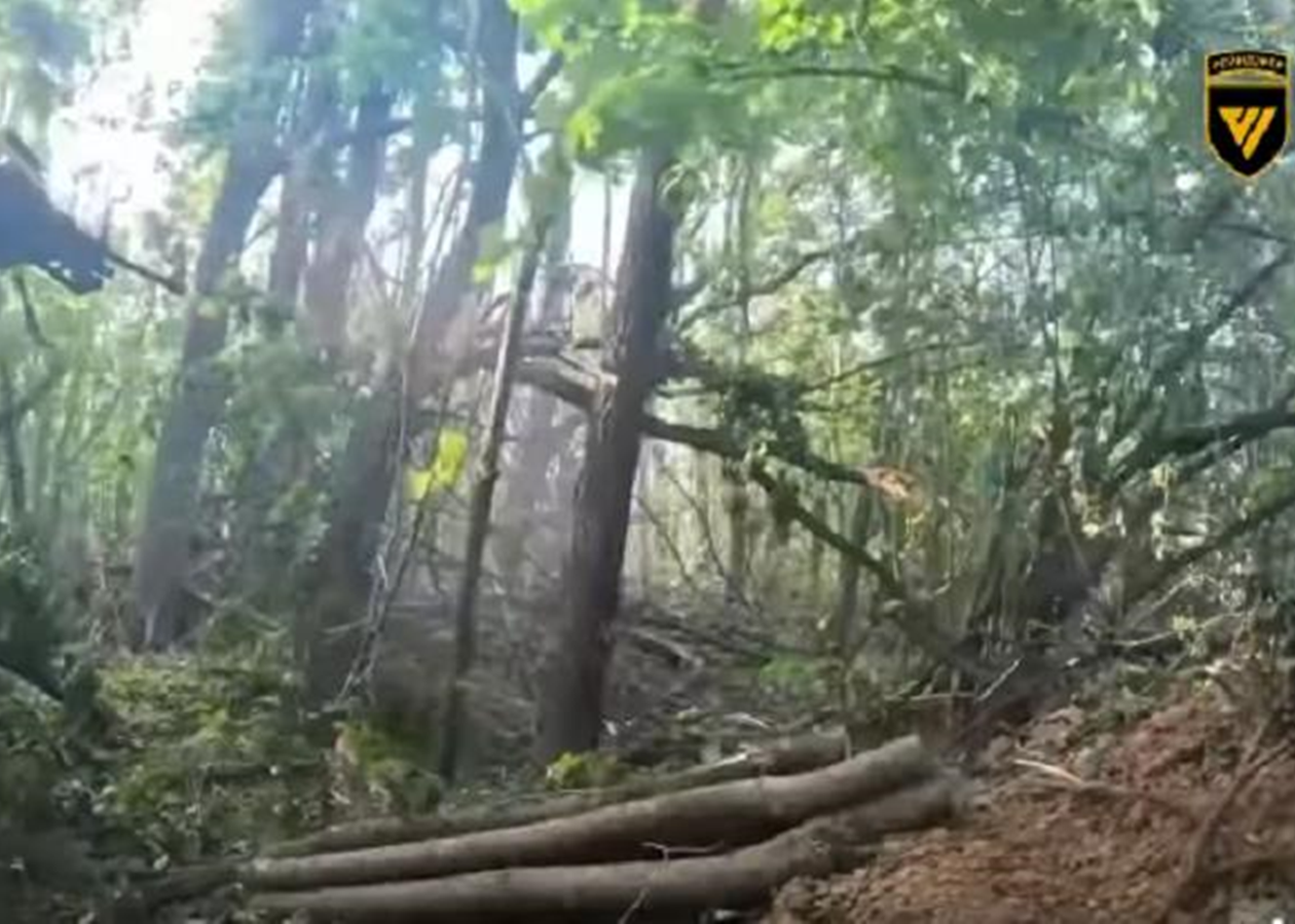 Знищено росіян, які намагалися штурмувати Сумщину