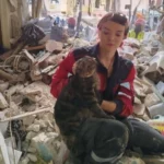 Обстріл п’ятиповерхівки на Сирці: з-під завалів врятовано живого кота (фото)