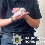 Поліція та зоопатруль провели рятувальну операцію для котів у Києві (фото)