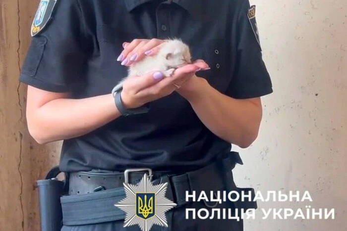 Поліція та зоопатруль провели рятувальну операцію для котів у Києві (фото)