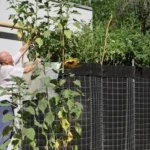 Херсонець перетворив захисні споруди у центрі міста на грядки