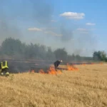 На Вінниччині спалахнули десятки гектарів стерні: екологи нагадали про штрафи