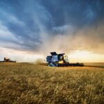 Українські аграрії обмолотили 65% зернових площ