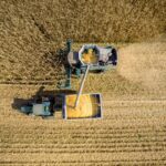 В Україні обмолочено 73% зернових площ