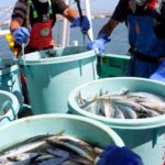 Скандал через Тайвань: Китай заборонив японські морепродукти