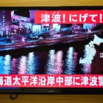 Землетрус в Японії спричинив 70 см цунамі