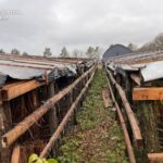 На Хмельниччині викрили підпільне виробництво тютюну