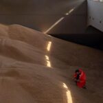 Польща пожалілася в Раду ЄС на агроімпорт з України - ЗМІ