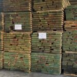 На Львівщині викрили контрабанду лісоматеріалів за кордон