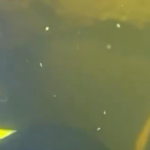 Водолази ДСНС провели підводну операцію при -15°C