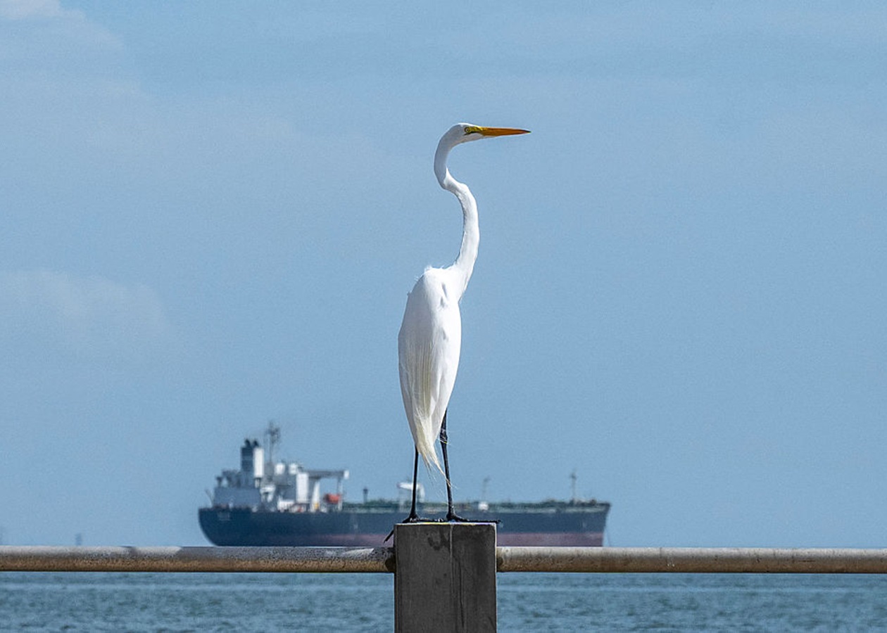 Індія закупила два мільйони барелів венесуельської нафти - ЗМІ