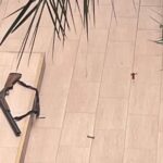 В Росії студент улаштував стрілянину в технікумі: є загиблий і потерпілі