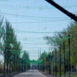 Дороги під «парасолькою»: Харківщина витратить частину з 3 мільярдів на антидронові сітки