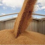 У березні експорт агропродукції зріс на 10,8%