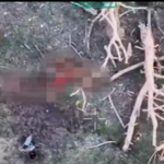 Військові показали знищення окупантів на Сумщині
