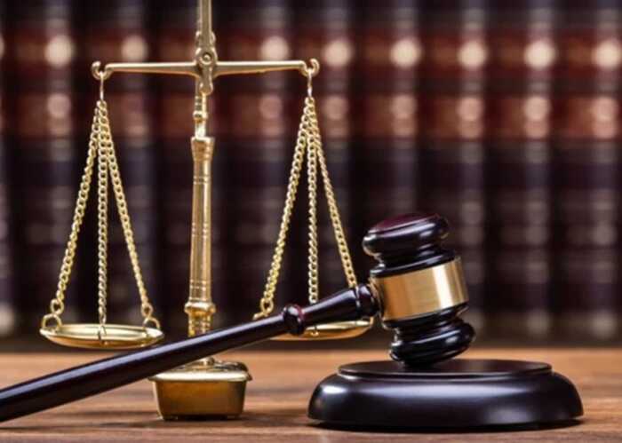 Суд оштрафував на 44 мільйони директора компанії за схему з мальтійськими авто та підробленими документами