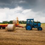 Українські аграрії зібрали половину ранніх зернових