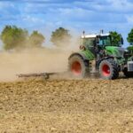 Ячмінь і горох уже зібрали: скільки зерна намолотили в Україні