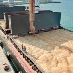 Експорт агропродукції обвалився на 41,5% - УКАБ