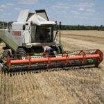 Україна намолотила 33 млн тонн зерна: які культури вже зібрали