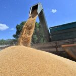 Ціни на пшеницю зростають через загрозу ударів РФ по Україні